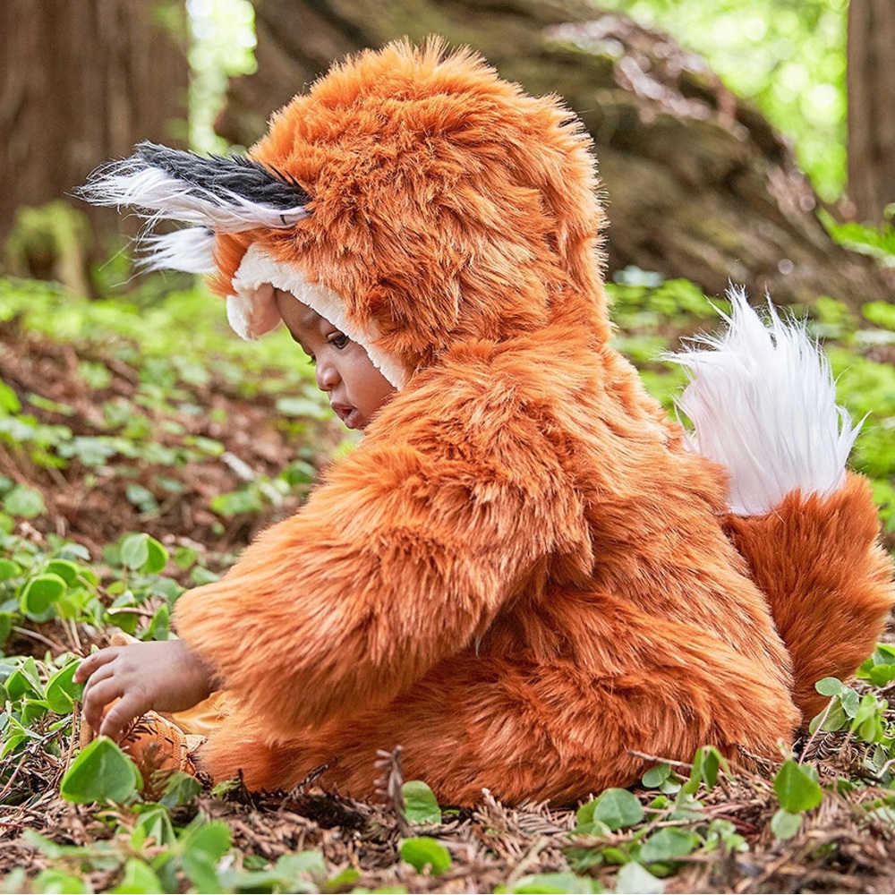 Pottery Barn Fox Costume